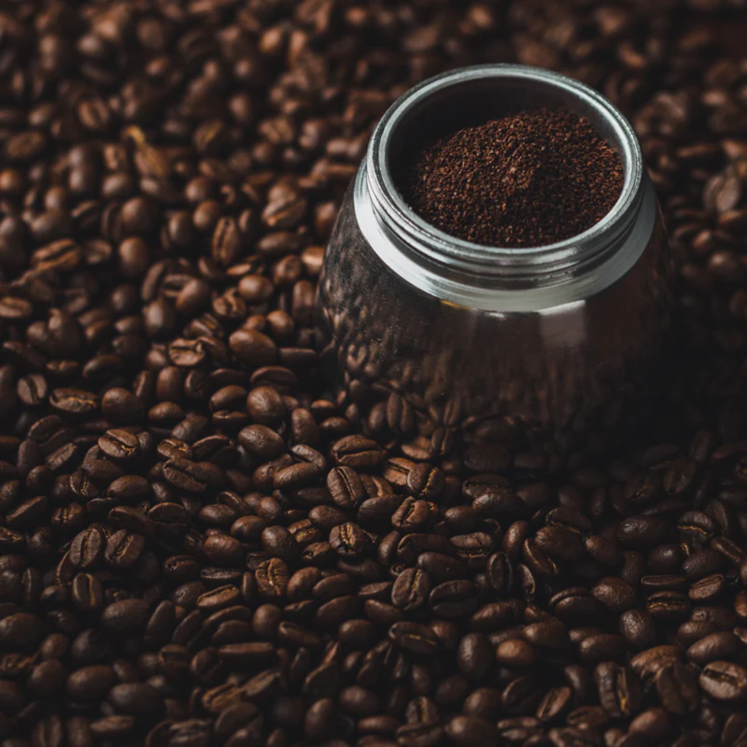 Roasted Beans